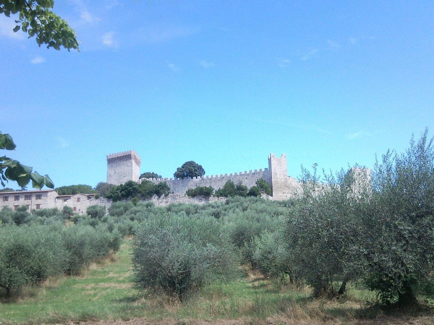 Hotel Trasimeno Bittarelli Castiglione del Lago Luaran gambar